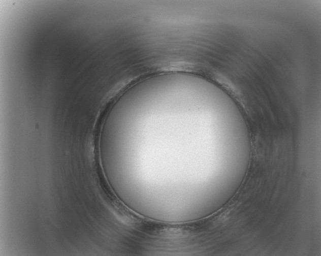 X0000071770298200607150035