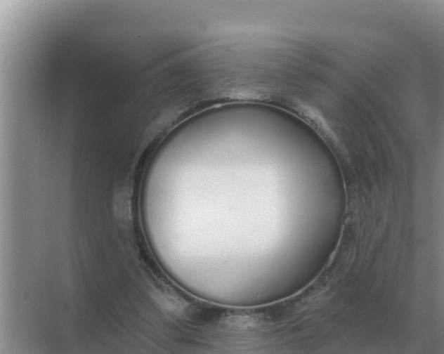 X0000071770299200607150035