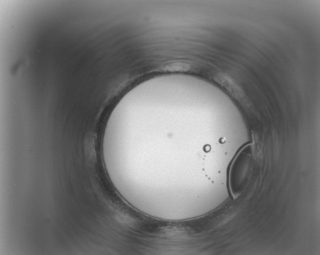 X0000071770300200607150035