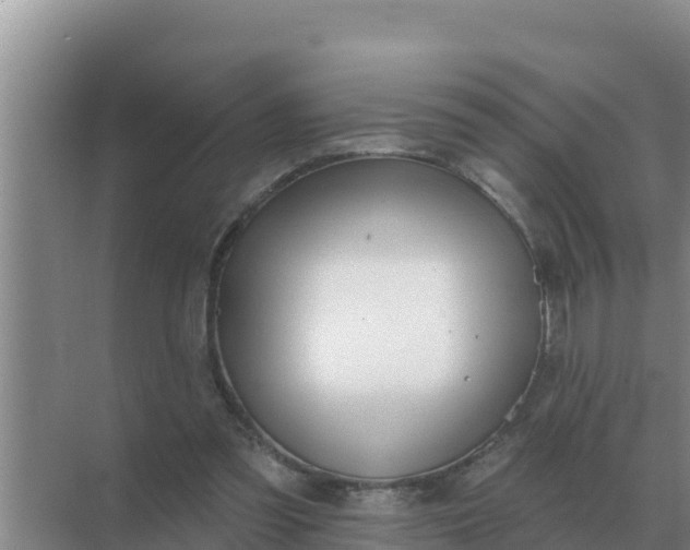 X0000071770301200607150035