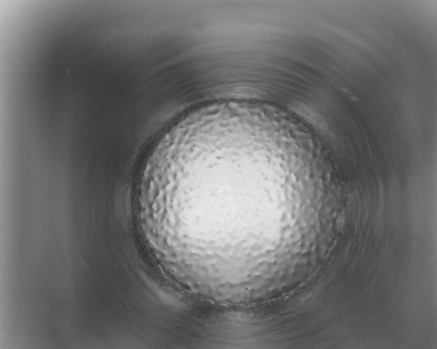 X0000071770302200607150035