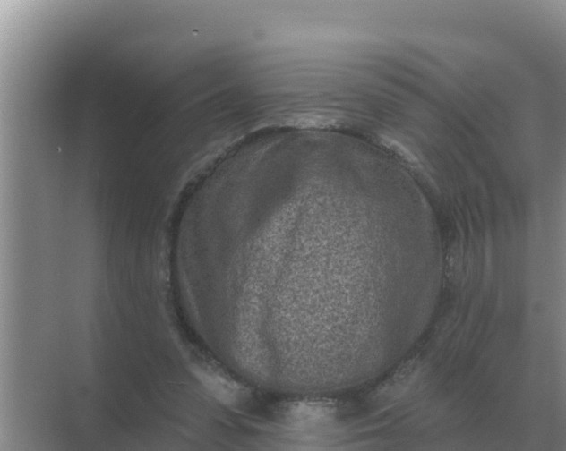 X0000071770303200607150035