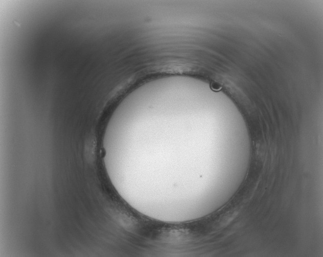 X0000071770304200607150035