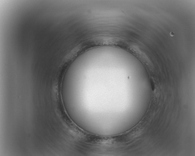 X0000071770306200607150035