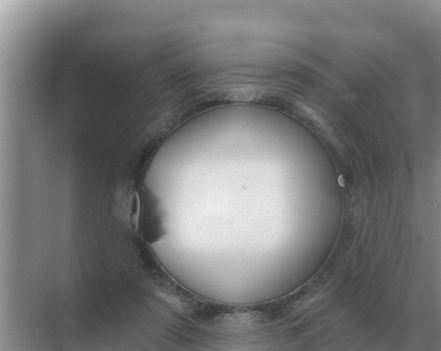 X0000071770307200607150035