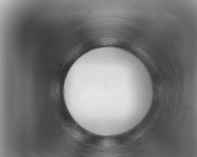 X0000071770308200607150035