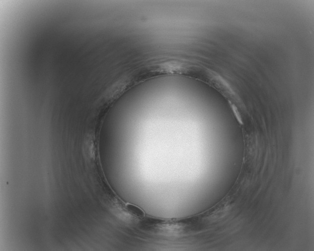 X0000071770313200607150035