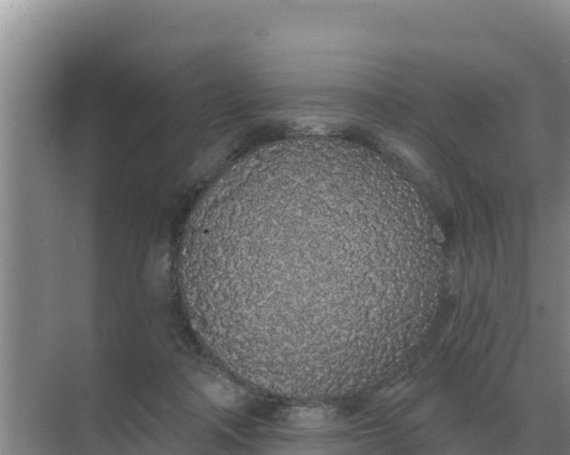 X0000071770314200607150035