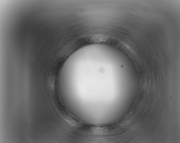 X0000071770315200607150035