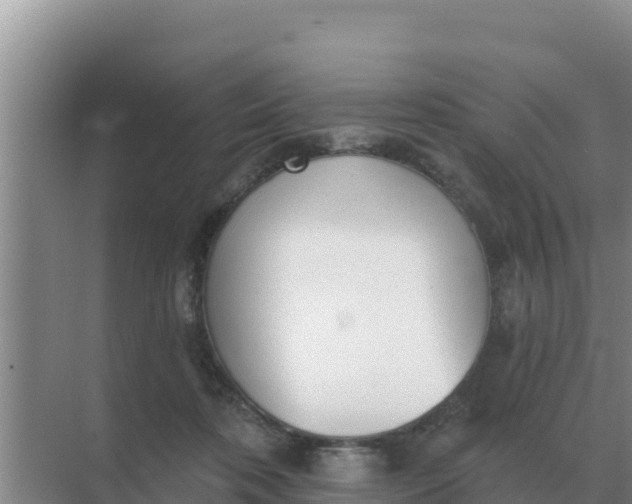 X0000071770316200607150035