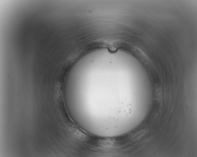 X0000071770318200607150035