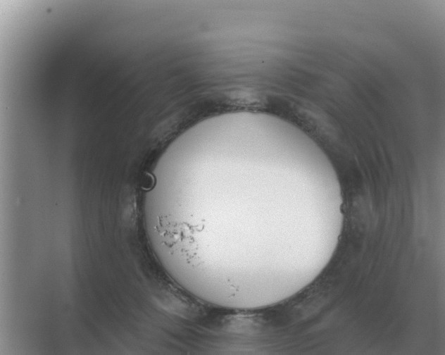 X0000071770320200607150035