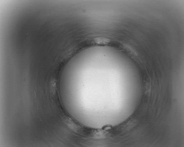 X0000071770321200607150035