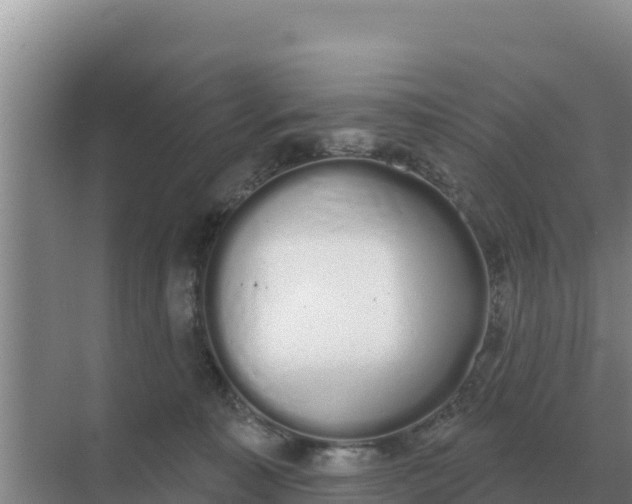 X0000071770323200607150035