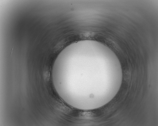 X0000071770324200607150035