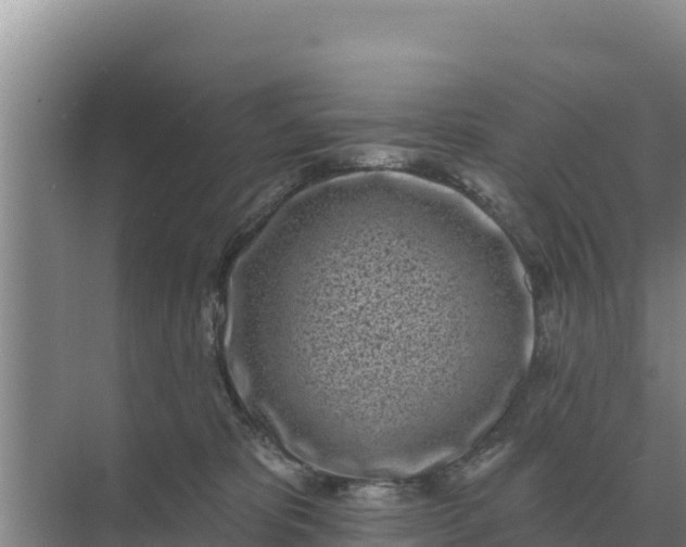 X0000071770325200607150035