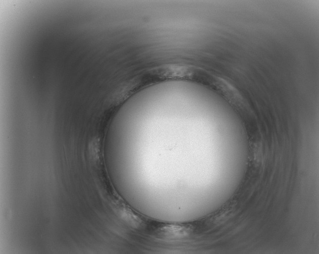 X0000071770326200607150035