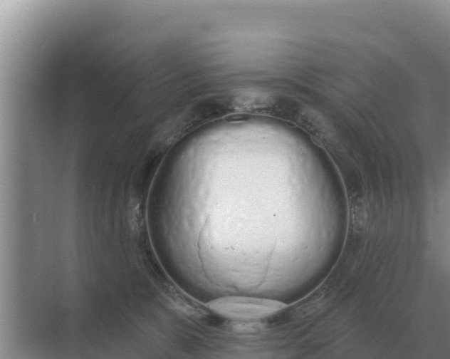 X0000071770327200607150035