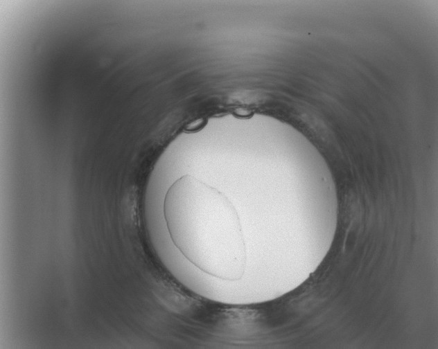 X0000071770328200607150035