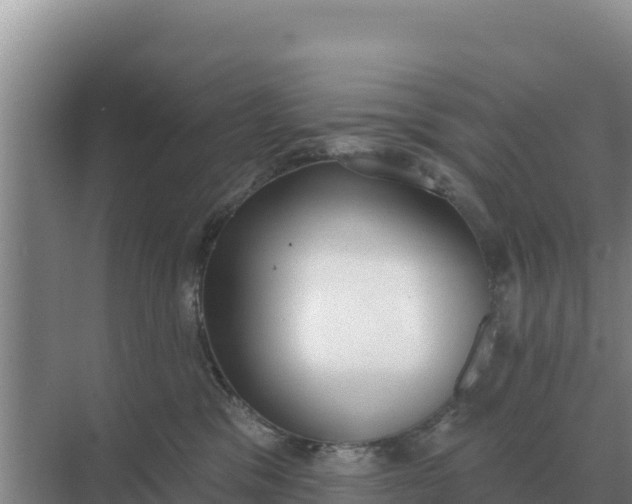 X0000071770329200607150035