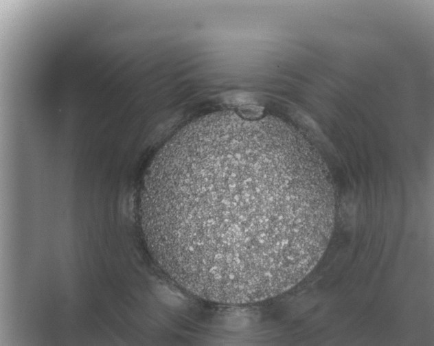 X0000071770330200607150035