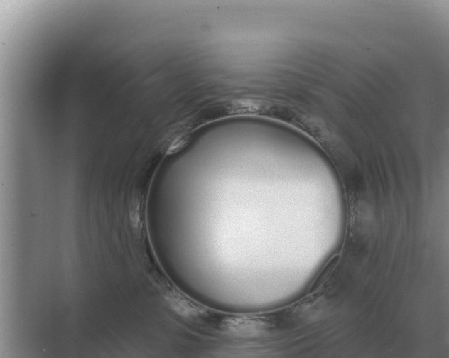 X0000071770331200607150035