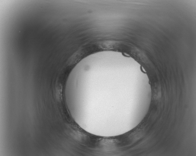 X0000071770332200607150035