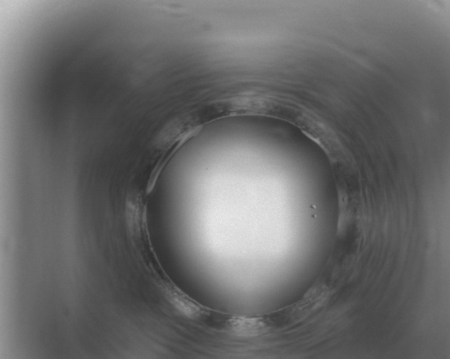 X0000071770333200607150035