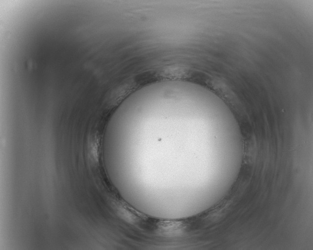 X0000071770334200607150035