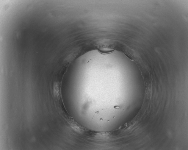 X0000071770335200607150035