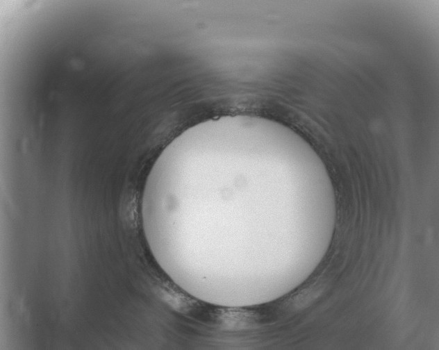 X0000071770336200607150035