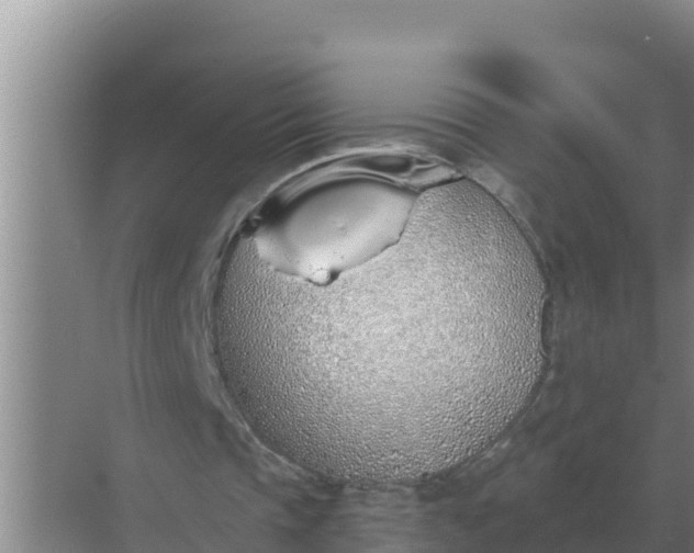 X0000071770337200607150034