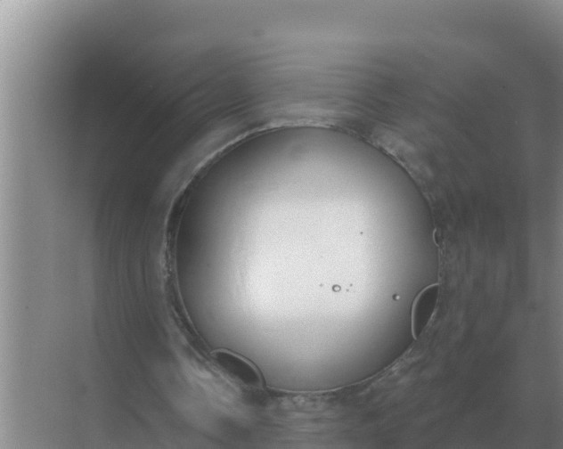 X0000071770338200607150034