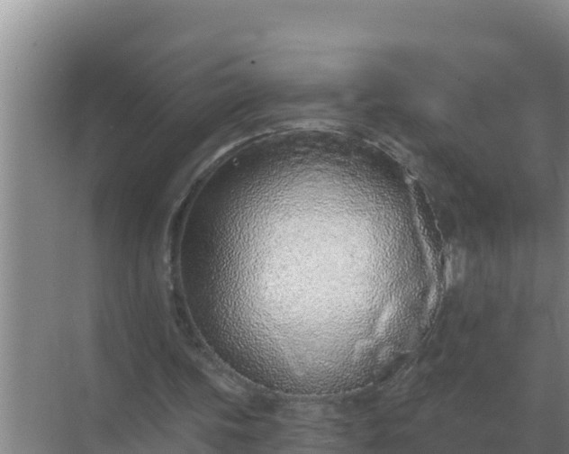 X0000071770339200607150034