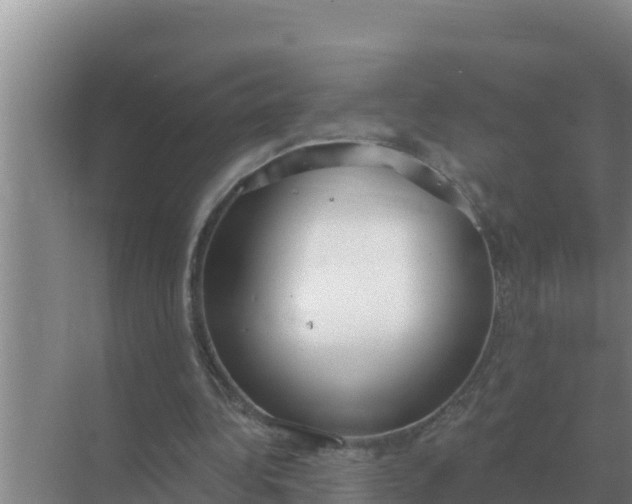 X0000071770340200607150034