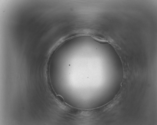 X0000071770341200607150034