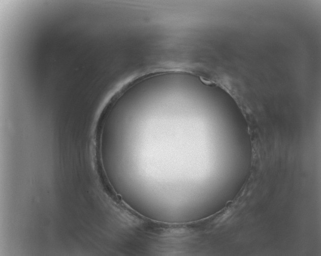 X0000071770342200607150034