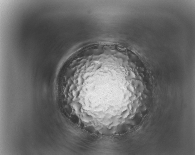 X0000071770343200607150034