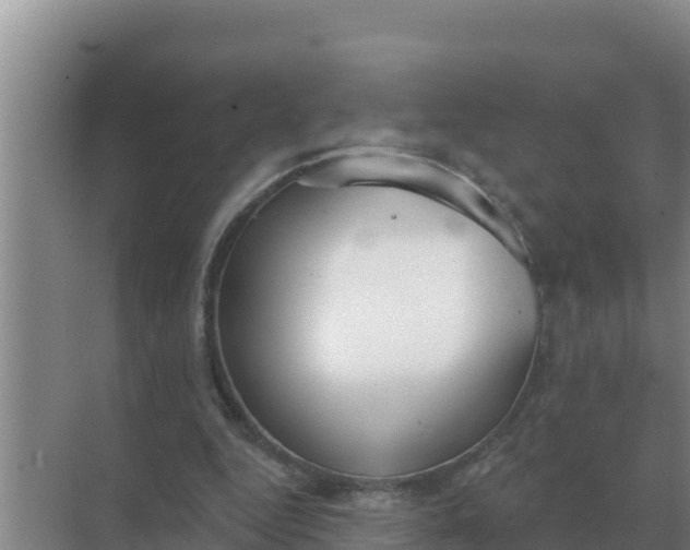 X0000071770344200607150034