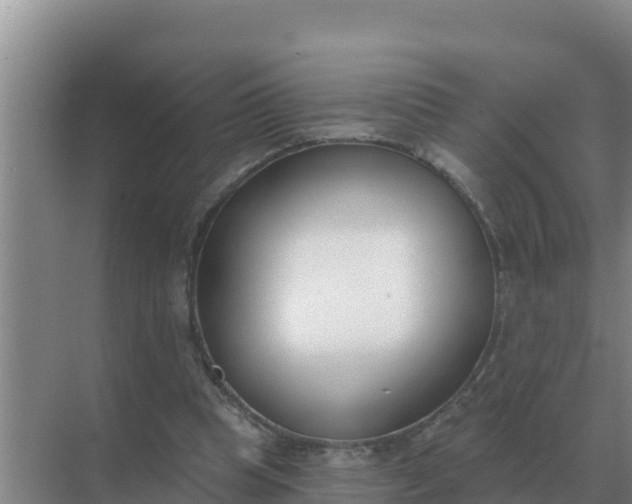 X0000071770345200607150034