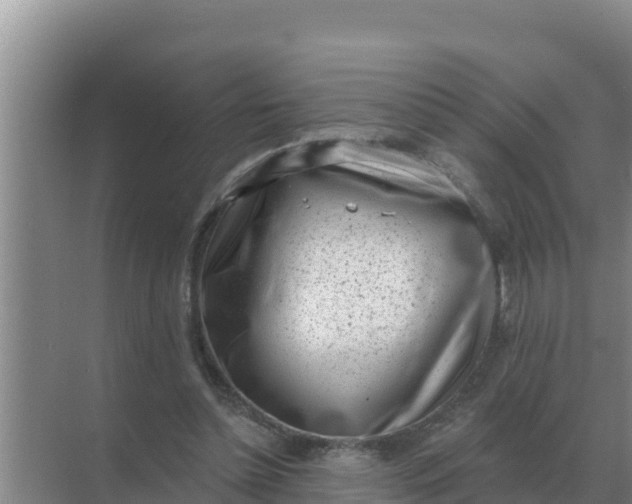 X0000071770348200607150034