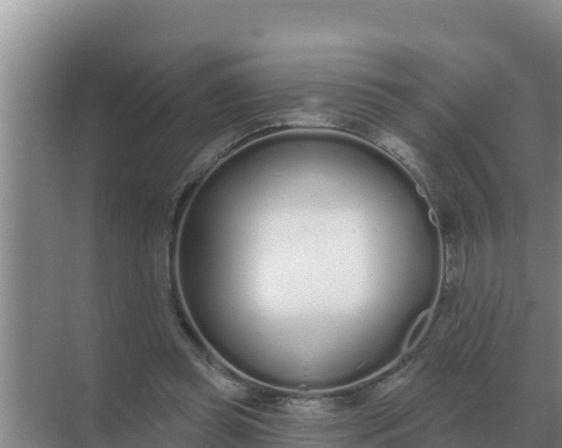 X0000071770349200607150034