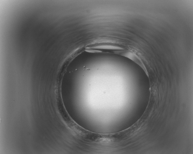 X0000071770352200607150034