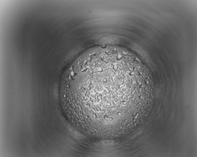 X0000071770353200607150034