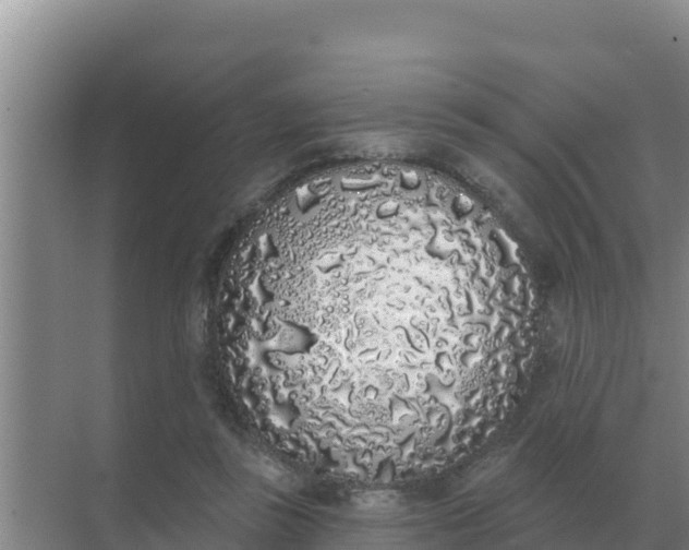 X0000071770355200607150034