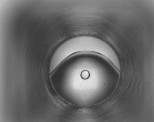 X0000071770356200607150034