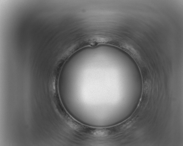 X0000071770358200607150034