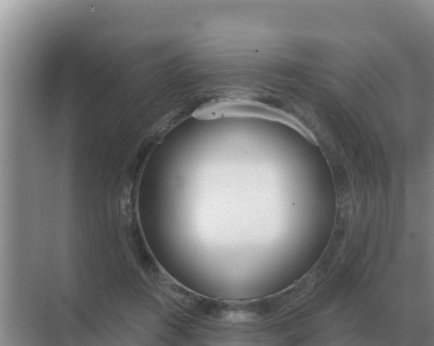 X0000071770360200607150034