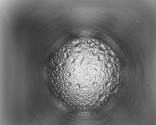 X0000071770361200607150034