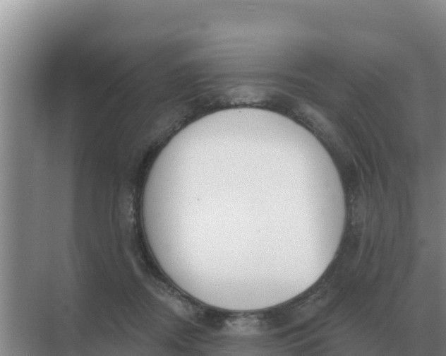 X0000071770362200607150034